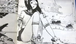 女生格斗漫画,校园格斗风云录